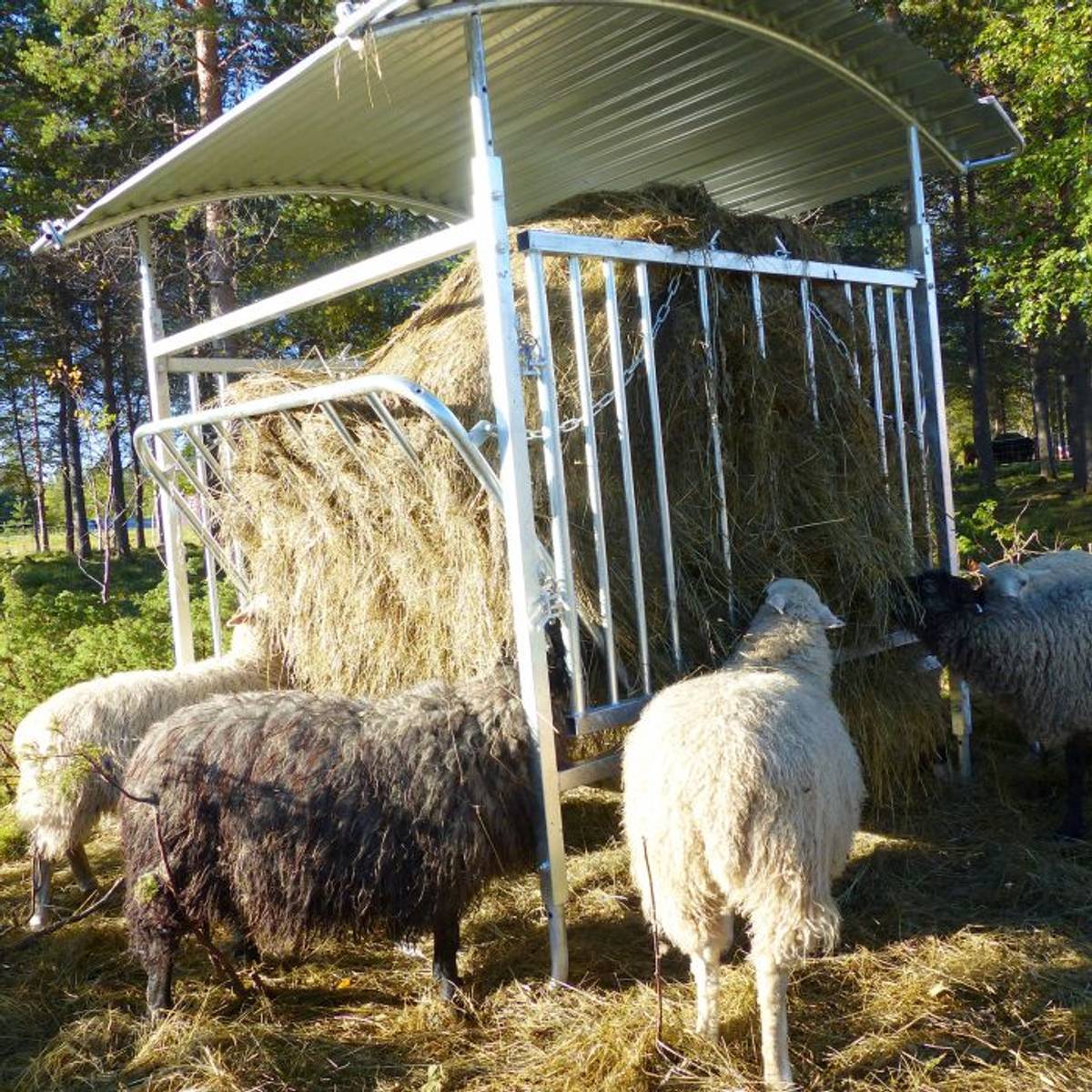 F RHEKK MED TAK FOR SAUER Melhusmotor no